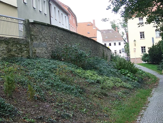 Alte Stadtmauer