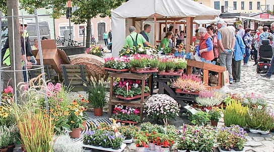 Herbstmarkt