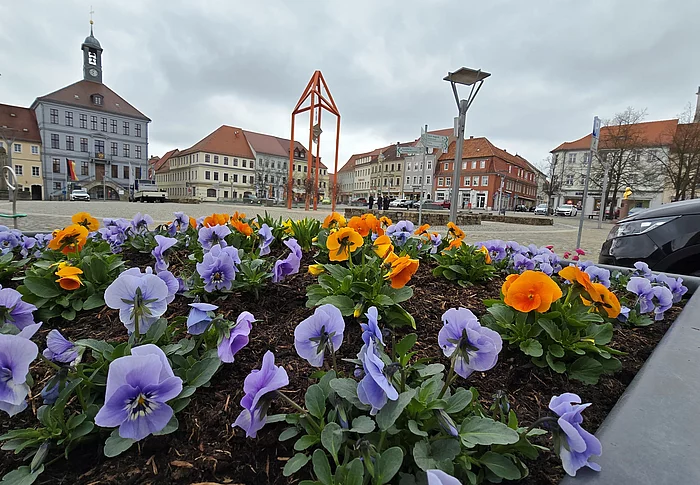 Frühlingsbepflanzung am Bischofswerdaer Altmarkt